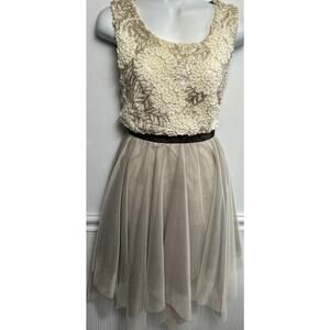 Anthropologie Dress Ryu Womens L Brown Cream Lace Mesh Tulle Balletcore Fairy